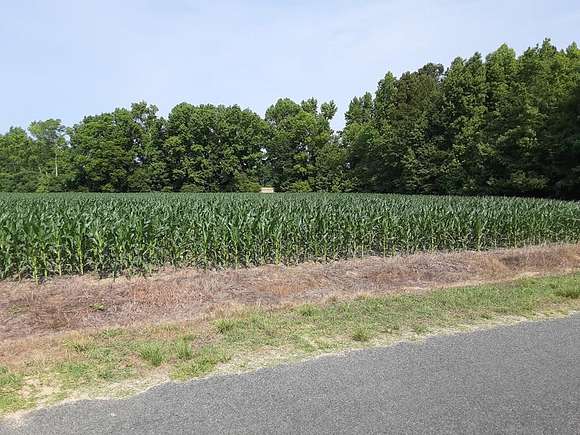 85.3 Acres of Agricultural Land for Sale in Santee, South Carolina