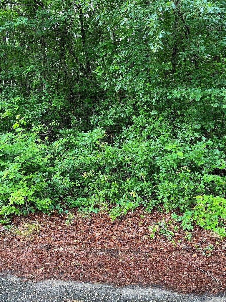 0.61 Acres of Residential Land for Sale in Sumter, South Carolina