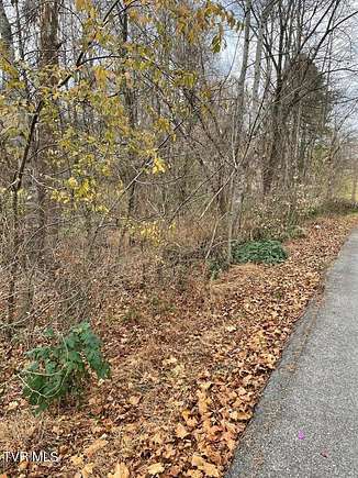 3.1 Acres of Residential Land for Sale in Bluff City, Tennessee