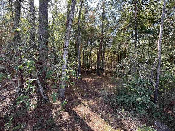 15 Acres of Recreational Land for Sale in Kirbyville, Texas