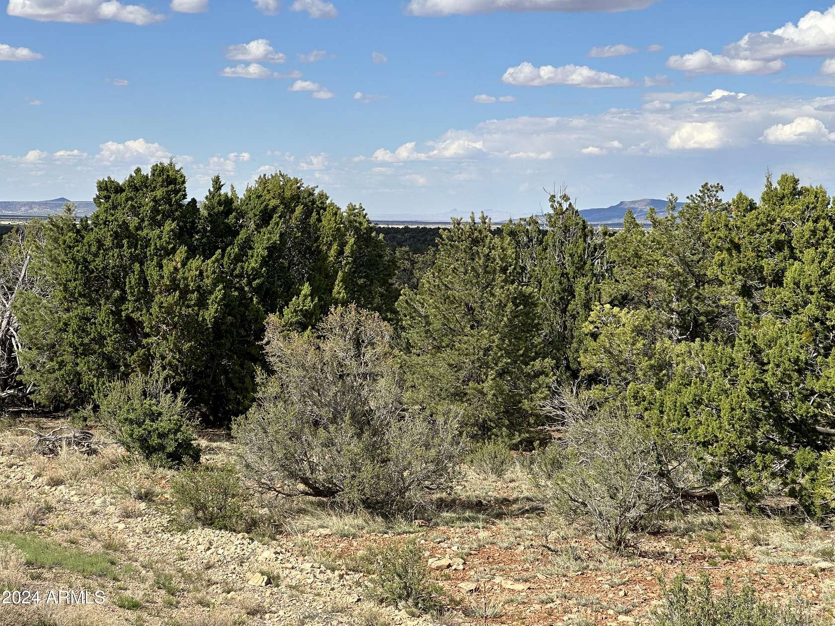 5 Acres of Land for Sale in Happy Jack, Arizona