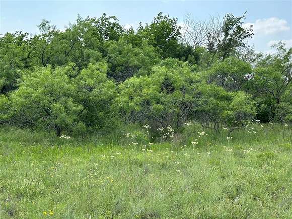 30 Acres of Agricultural Land for Sale in Hamilton, Texas