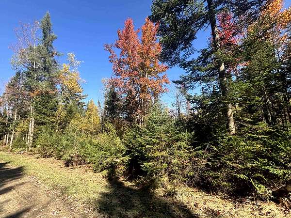 13 Acres of Recreational & Residential Land for Sale in Brighton Town, Vermont