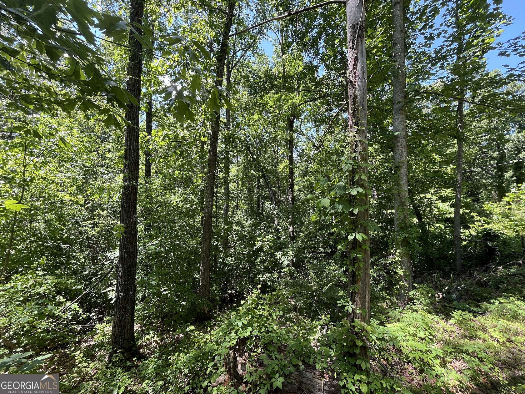 0.21 Acres of Residential Land for Sale in Toccoa, Georgia
