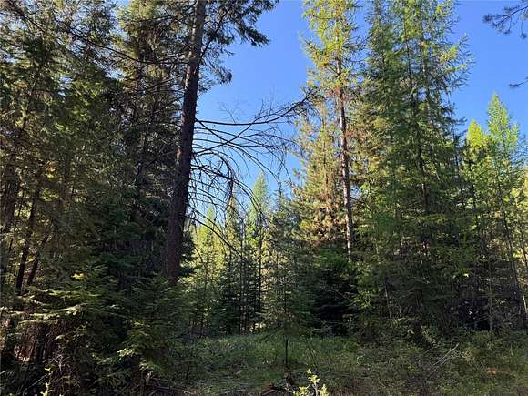 3.9 Acres of Land for Sale in Thompson Falls, Montana