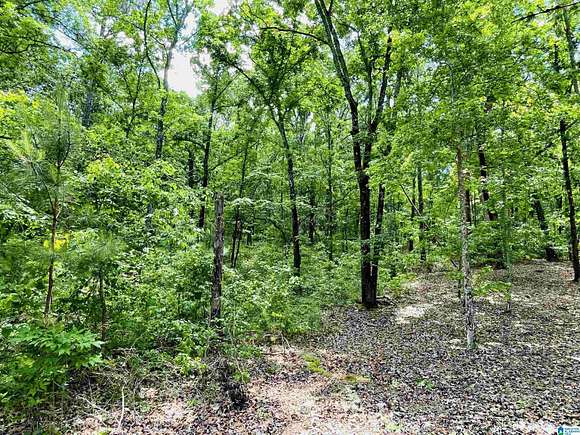 0.93 Acres of Residential Land for Sale in Pell City, Alabama