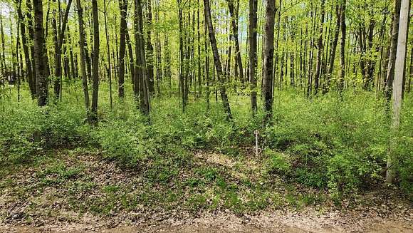 0.56 Acres of Residential Land for Sale in Stanwood, Michigan