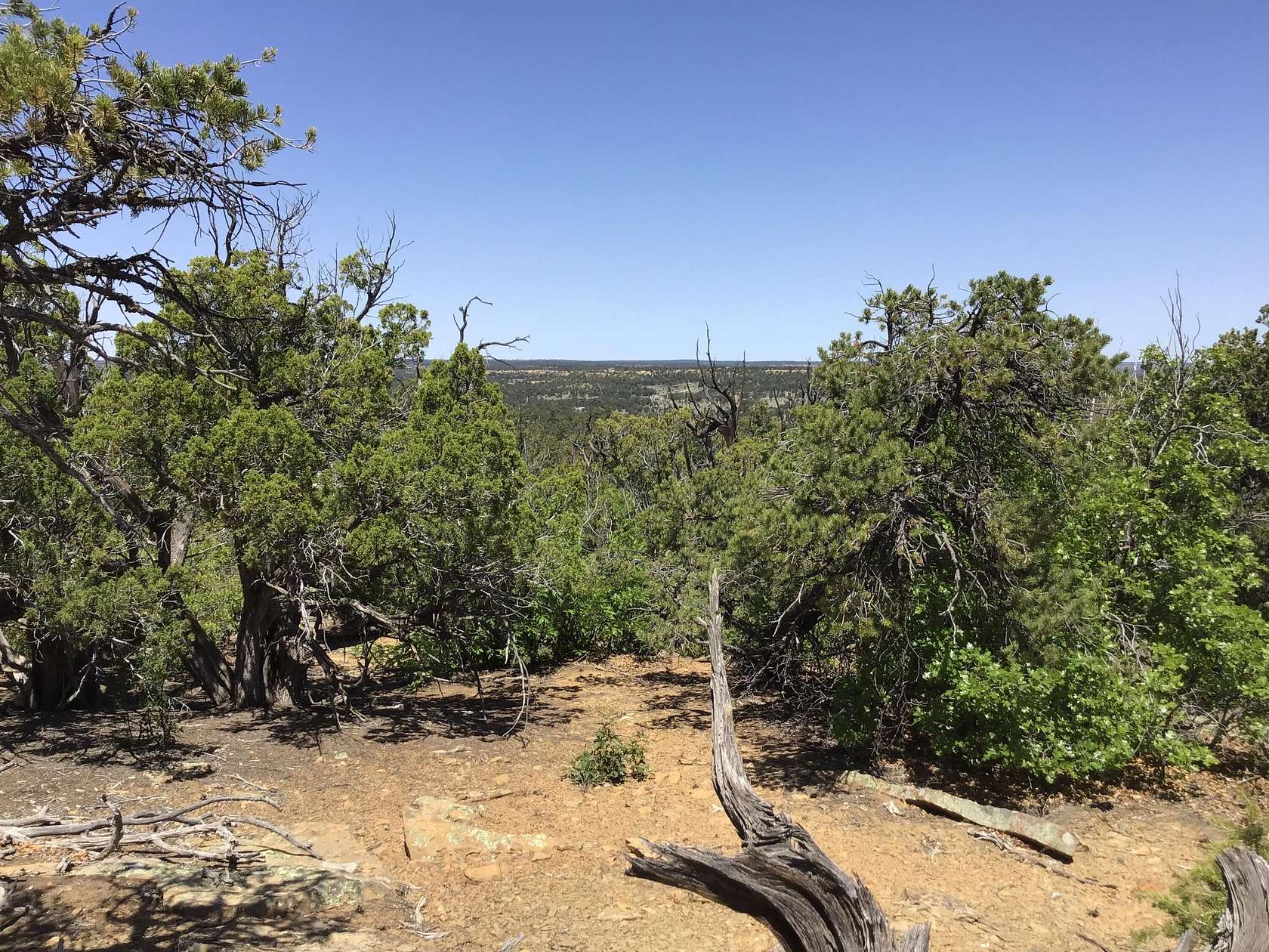 12.8 Acres of Recreational Land for Sale in Ramah, New Mexico