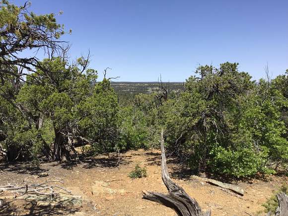 12.8 Acres of Recreational Land for Sale in Ramah, New Mexico