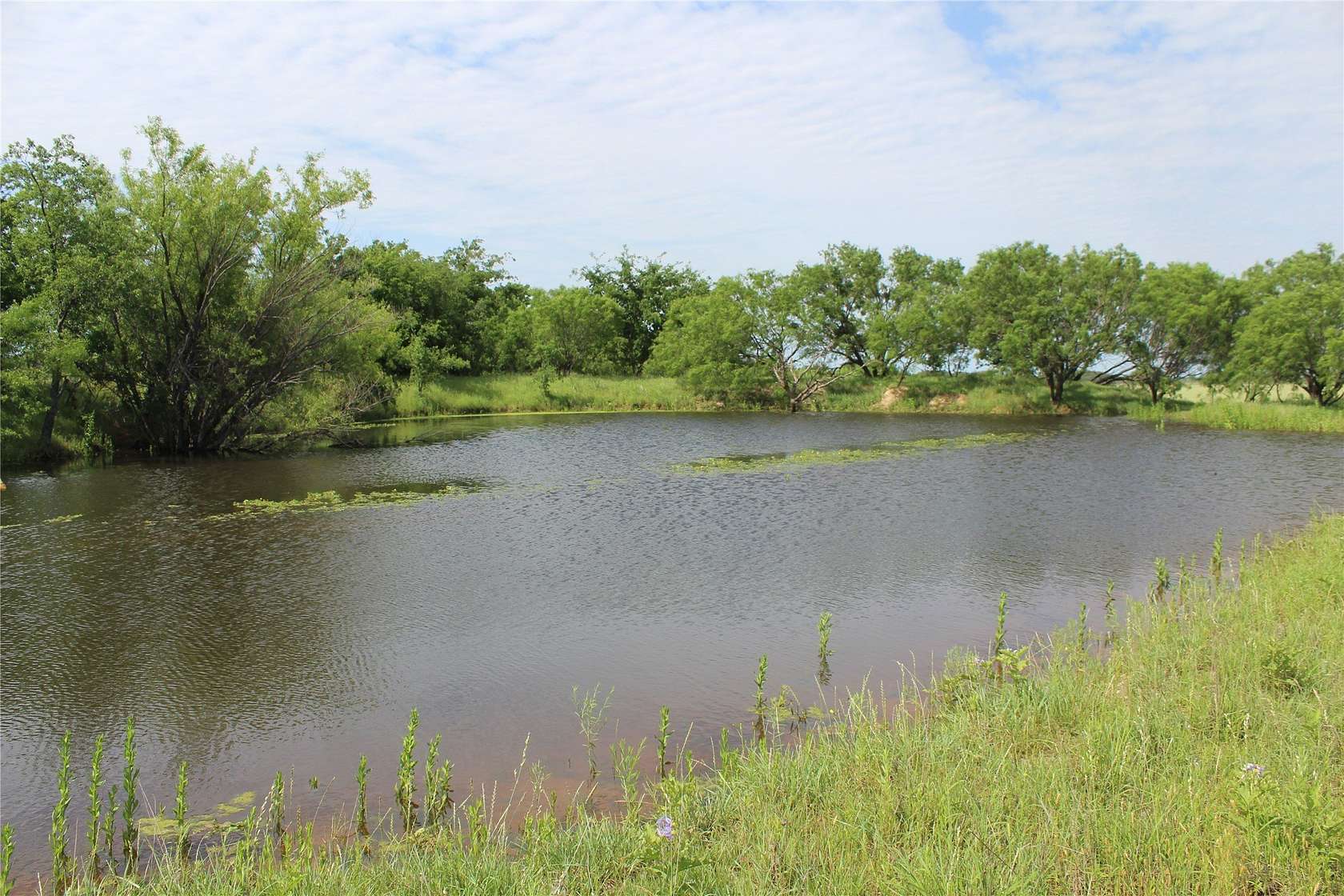 72.6 Acres of Land for Sale in Blanket, Texas