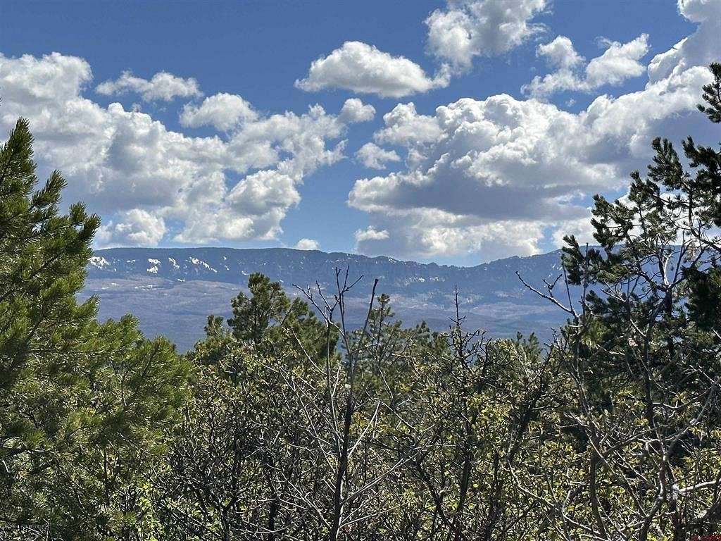 12.6 Acres of Land for Sale in Ridgway, Colorado