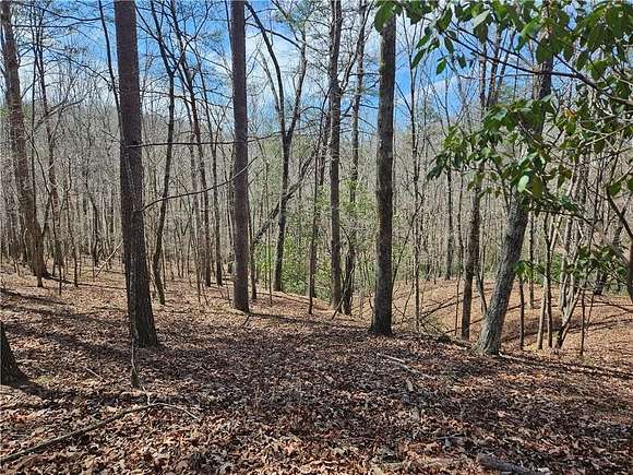 5.01 Acres of Land for Sale in Dawsonville, Georgia