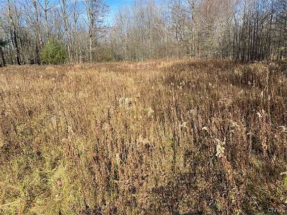 4.6 Acres of Residential Land for Sale in Alma, New York