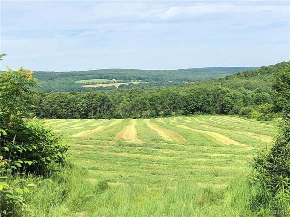 49.7 Acres of Recreational Land & Farm for Sale in Barker Town, New York