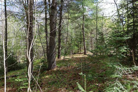 24 Acres of Recreational Land for Sale in Anson, Maine