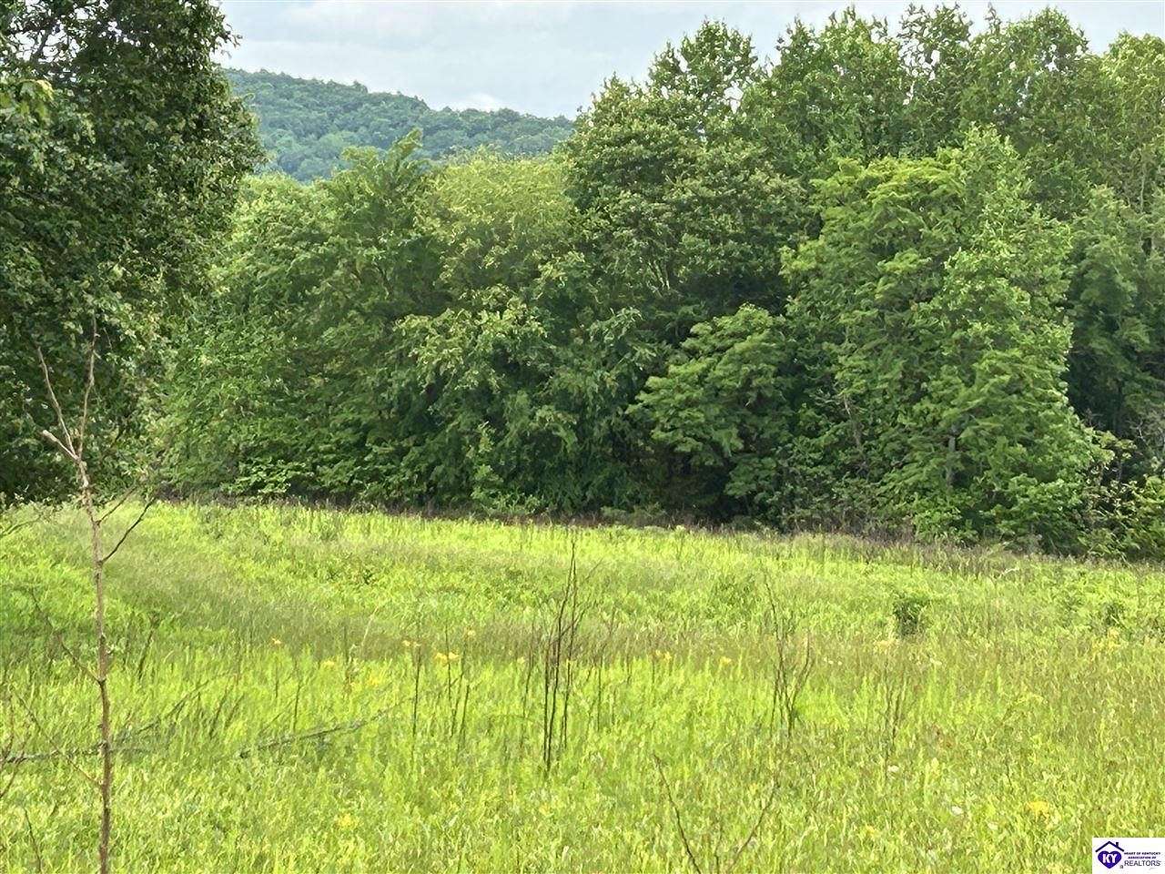 51.33 Acres of Land for Sale in Columbia, Kentucky