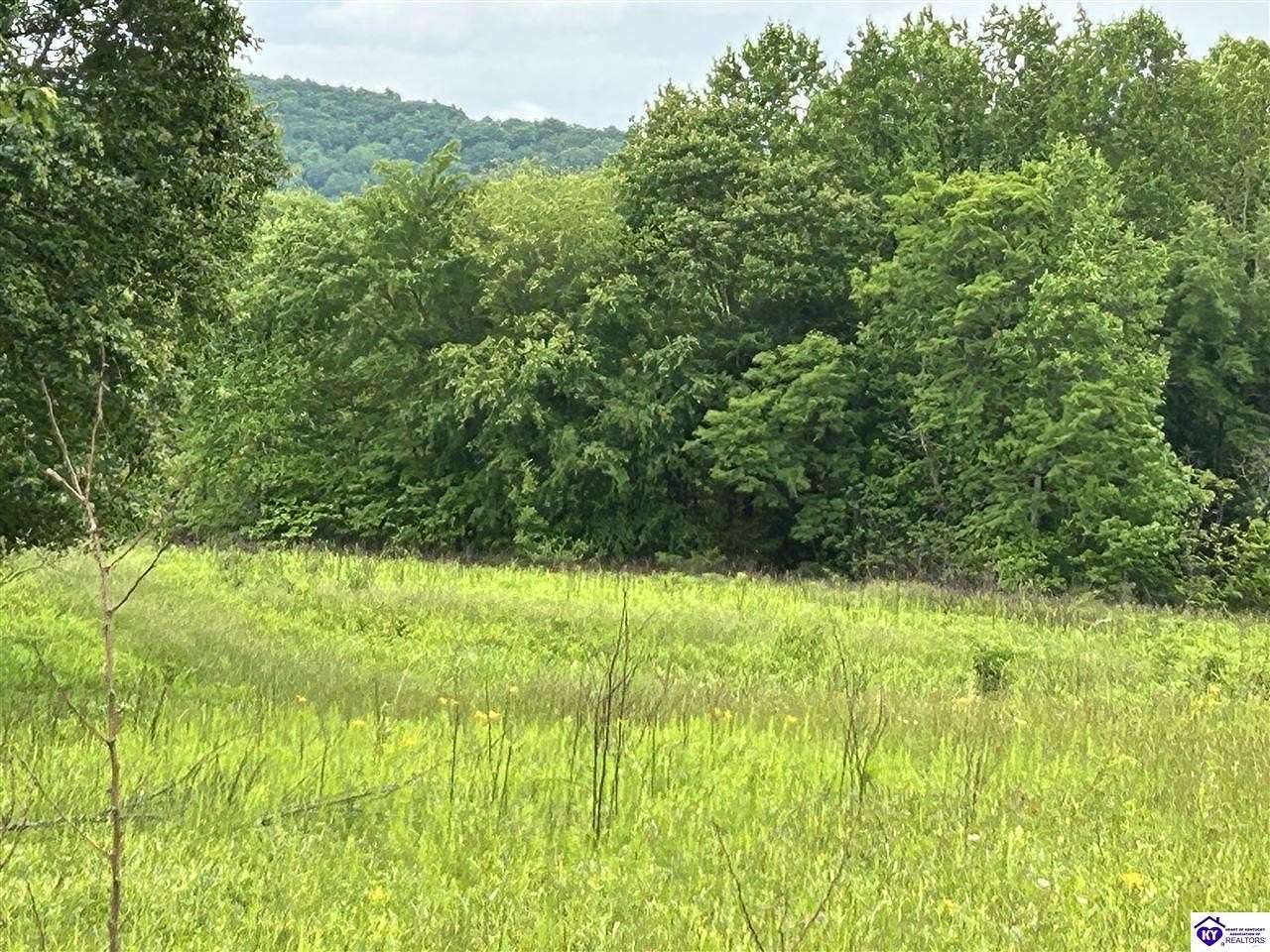 51.3 Acres of Land for Sale in Columbia, Kentucky