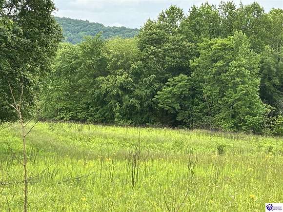 51.3 Acres of Land for Sale in Columbia, Kentucky