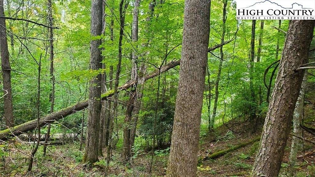 1.4 Acres of Land for Sale in Elk Park, North Carolina