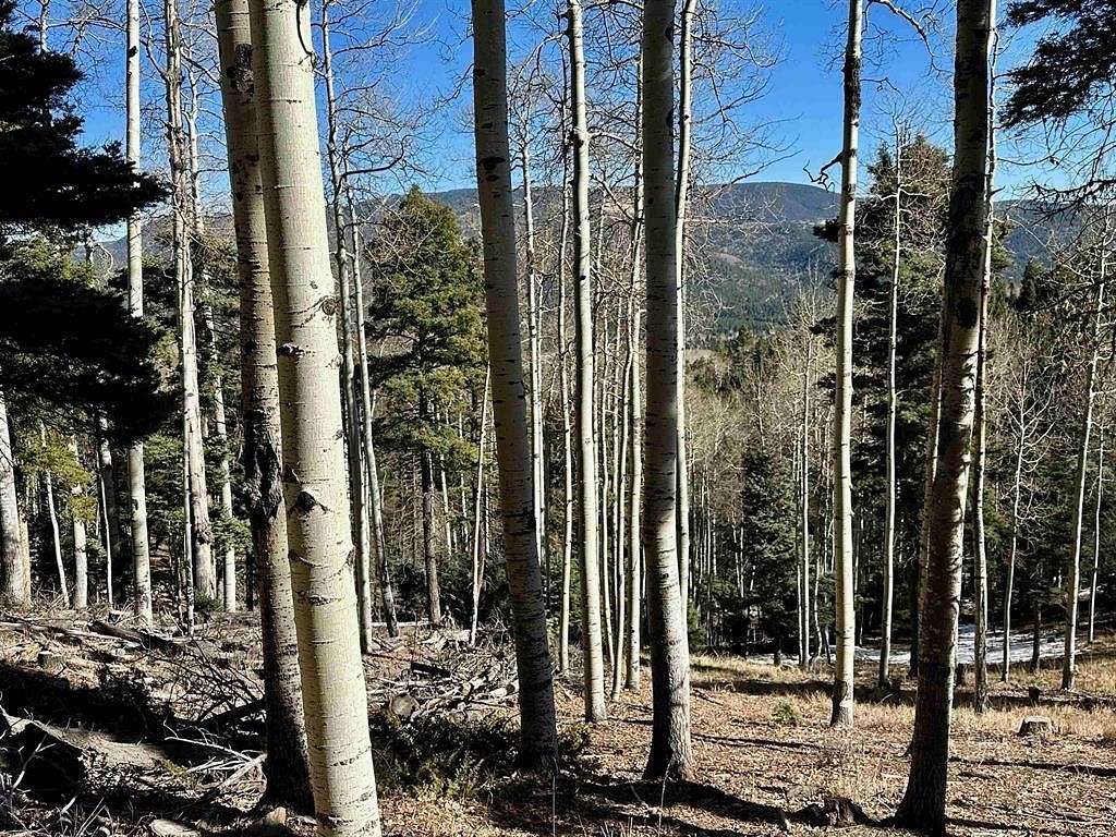 5.66 Acres of Land for Sale in Angel Fire, New Mexico