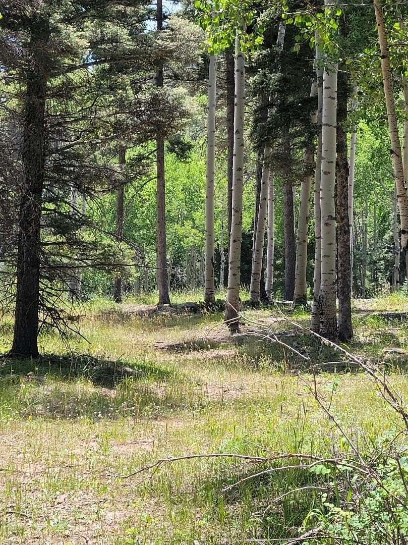 5.66 Acres of Residential Land for Sale in Angel Fire, New Mexico