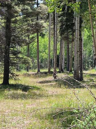 5.66 Acres of Residential Land for Sale in Angel Fire, New Mexico