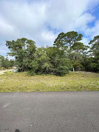 0.51 Acres of Land for Sale in Panacea, Florida