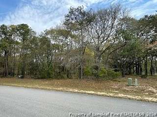 0.42 Acres of Residential Land for Sale in Supply, North Carolina