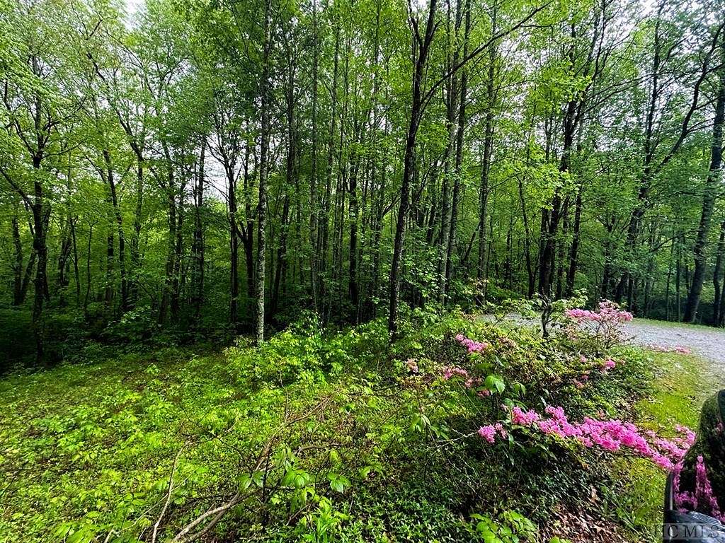 16.1 Acres of Land for Sale in Scaly Mountain, North Carolina