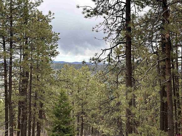 3.1 Acres of Residential Land for Sale in Bayfield, Colorado