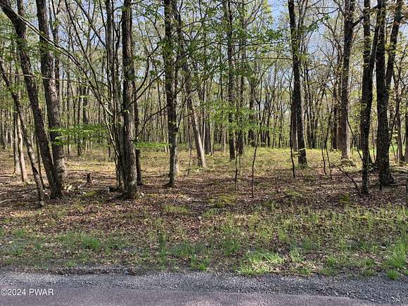1 Acre of Residential Land for Sale in Hawley, Pennsylvania