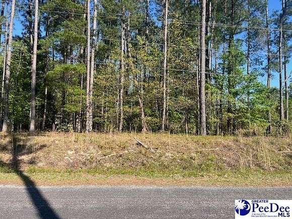0.47 Acres of Residential Land for Sale in Hartsville, South Carolina