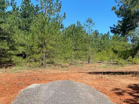 14 Acres of Land for Sale in Normangee, Texas
