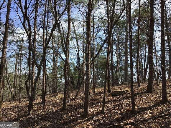 4.1 Acres of Residential Land for Sale in Jasper, Georgia