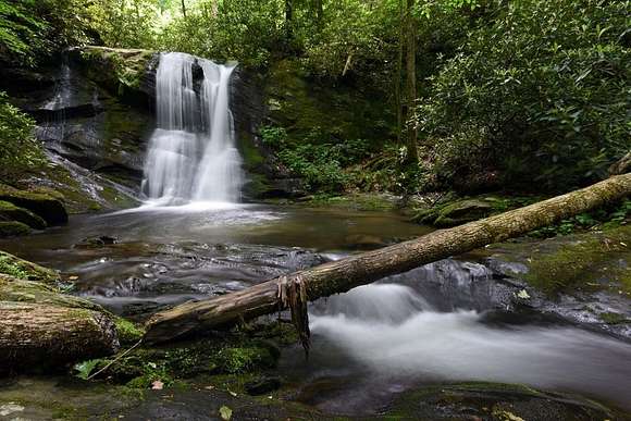 109 Acres of Recreational Land & Farm for Sale in Andrews, North Carolina