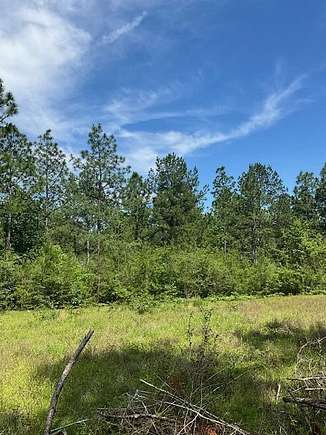 360 Acres of Recreational Land for Sale in Lumberton, Mississippi