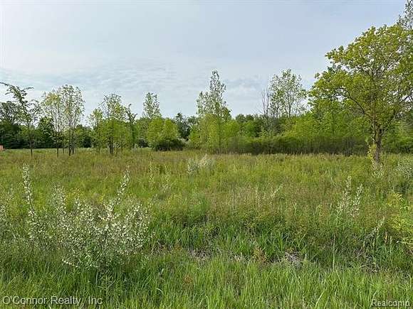 3.3 Acres of Residential Land for Sale in Memphis, Michigan