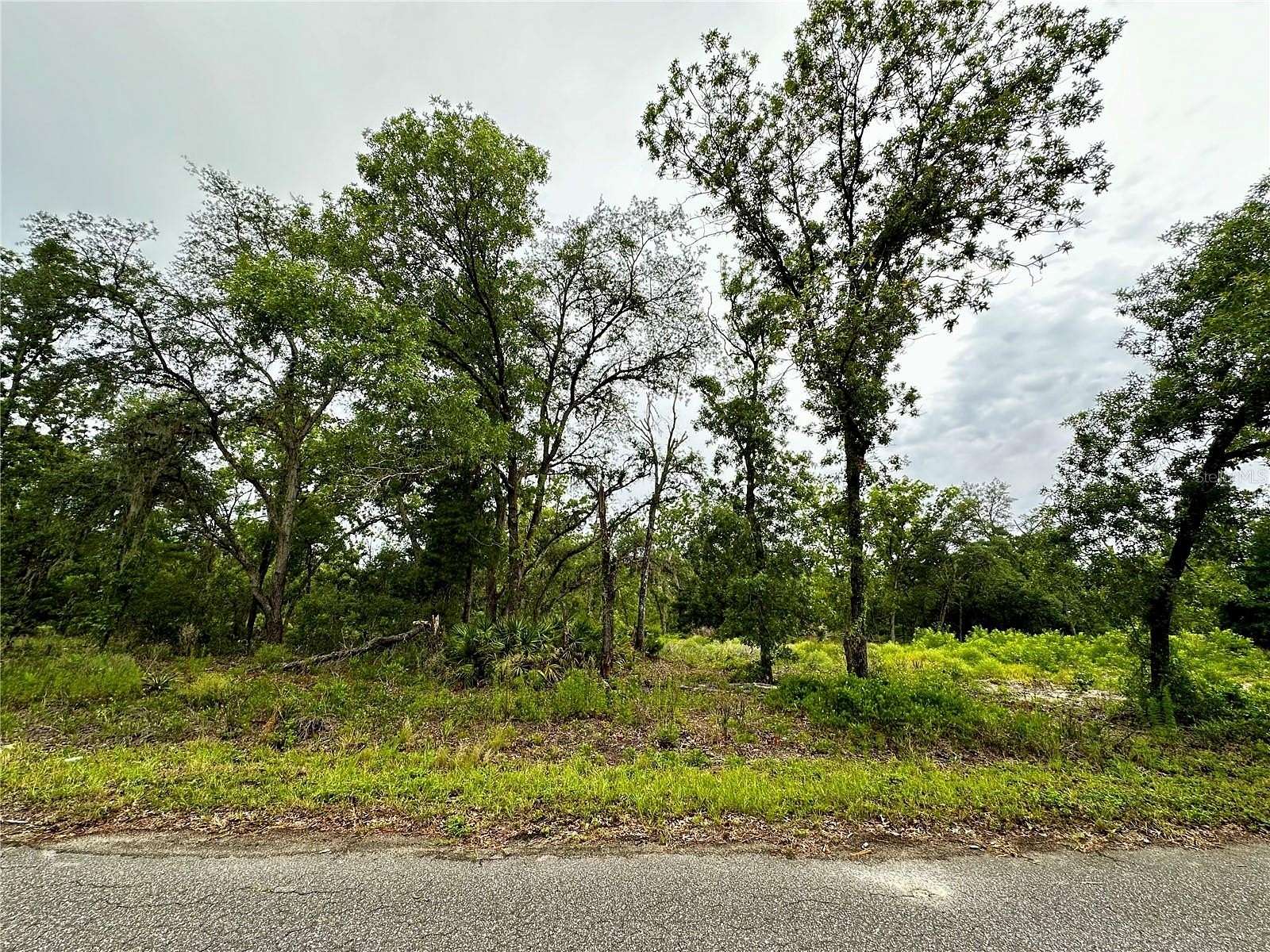 0.26 Acres of Residential Land for Sale in Ocklawaha, Florida