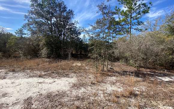 0.5 Acres of Residential Land for Sale in Live Oak, Florida