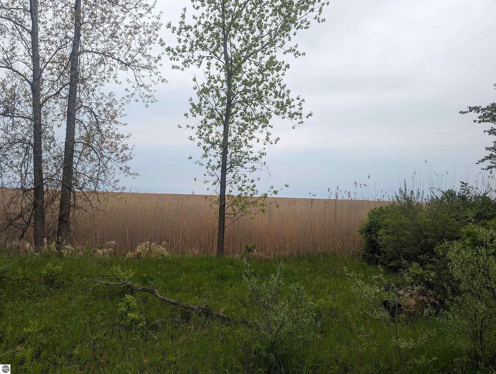 0.68 Acres of Residential Land for Sale in Au Gres, Michigan
