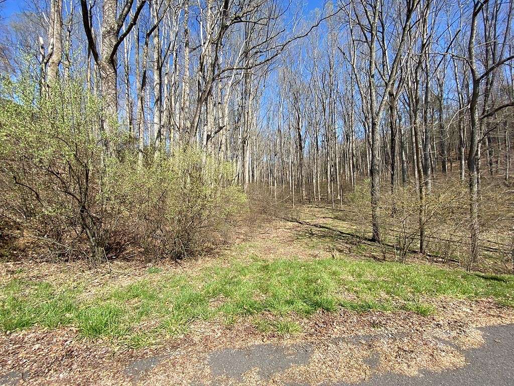 6.3 Acres of Residential Land for Sale in Max Meadows, Virginia