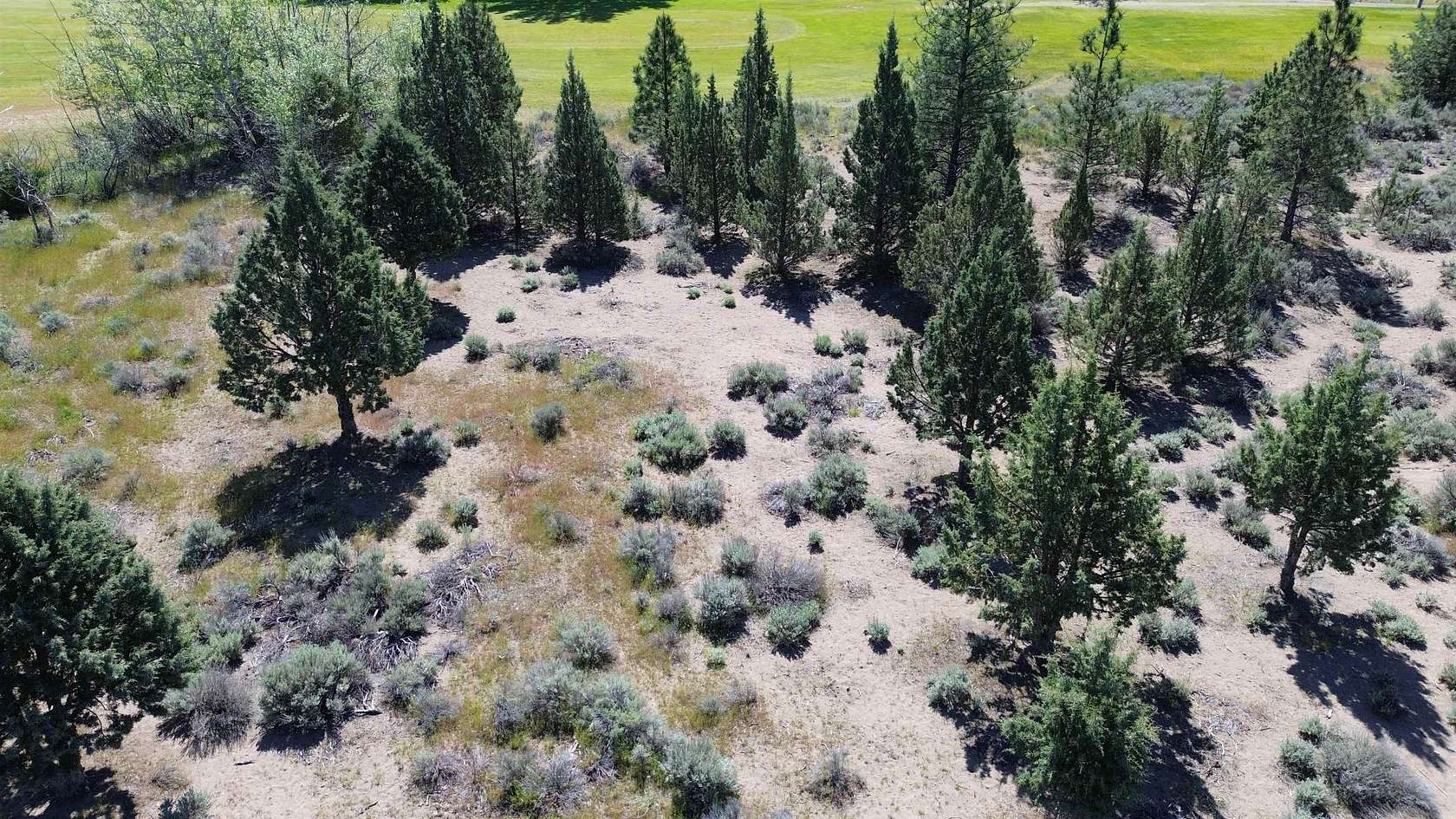 0.25 Acres of Residential Land for Sale in Weed, California