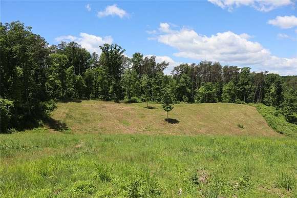 39.4 Acres of Agricultural Land for Sale in Ellijay, Georgia