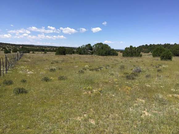 13.1 Acres of Recreational Land for Sale in Ramah, New Mexico