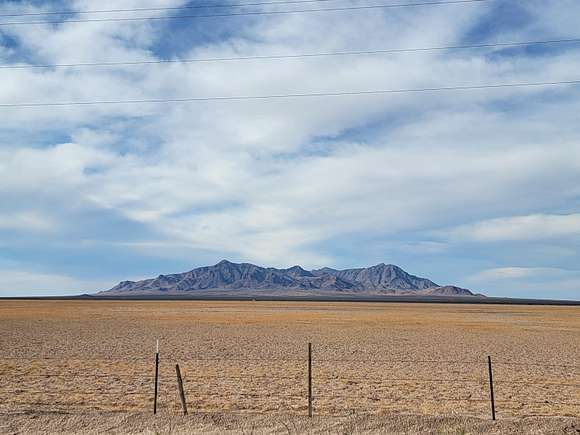 80 Acres of Land for Sale in Columbus, New Mexico