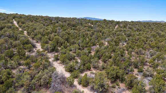 10 Acres of Residential Land for Sale in Edgewood, New Mexico