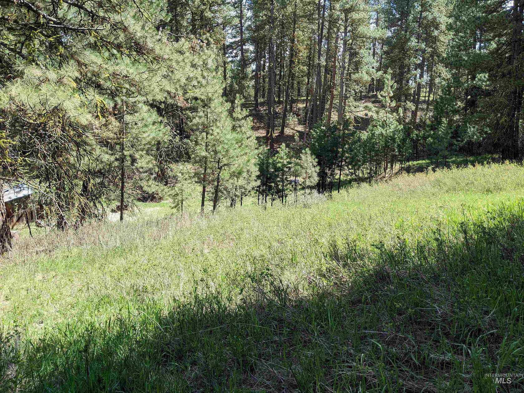 3.6 Acres of Commercial Land for Sale in Cascade, Idaho