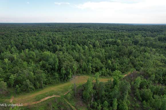 80 Acres of Recreational Land for Sale in Cascilla, Mississippi