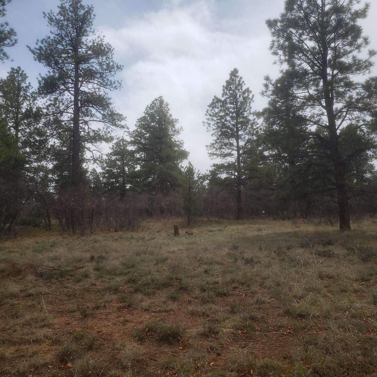 1.1 Acres of Residential Land for Sale in Ridgway, Colorado