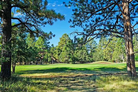 1.1 Acres of Residential Land for Sale in Ridgway, Colorado